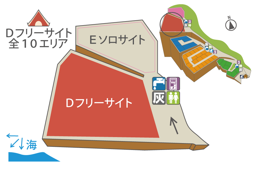 Dサイトの全体図